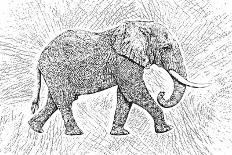 Africa Elephant Texture Pattern-Carlo Kaminski-Giclee Print