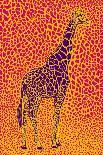 African Zebra Striking Camouflage-Carlo Kaminski-Laminated Giclee Print
