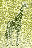 Africa Elephant Texture Pattern-Carlo Kaminski-Giclee Print