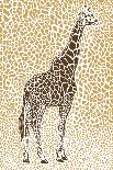 African Zebra Striking Camouflage-Carlo Kaminski-Framed Giclee Print