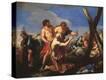 Stretched Canvas Print