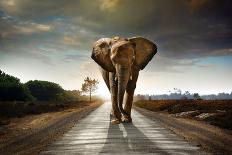 Surreal Scene of a Big Rhinoceros in an Empty Beach-Carlos Caetano-Photographic Print