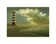 Seagulls on the Beach-Carlos Casamayor-Giclee Print