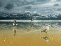 Seagulls on the Beach-Carlos Casamayor-Giclee Print