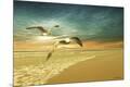 Premium Giclee Print