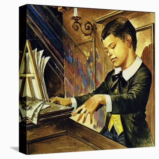 Stretched Canvas Print, , large