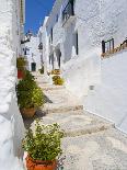 Town of Frigiliana, White Town in Andalusia, Spain-Carlos S?nchez Pereyra-Framed Photographic Print