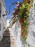 View of Mijas, White Town in Costa Del Sol, Andalusia, Spain-Carlos Sánchez Pereyra-Photographic Print