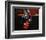 Carlos Santana-null-Framed Photo