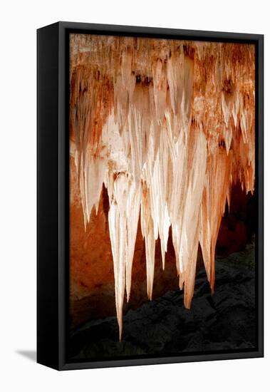 Carlsbad Cavern I-Douglas Taylor-Framed Premier Image Canvas