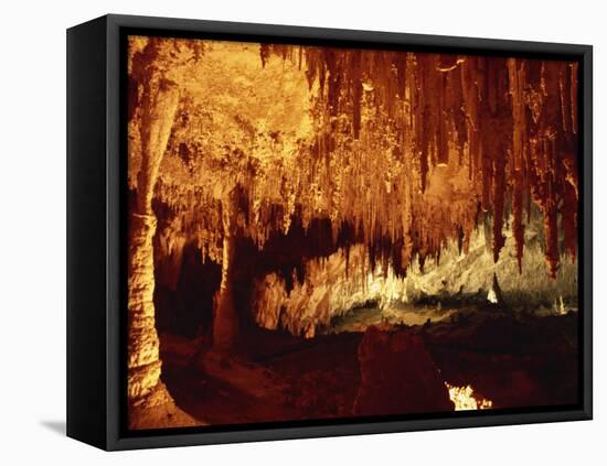 Carlsbad Caverns, Carlsbad Caverns National Park, UNESCO World Heritage Site, New Mexico, USA-Woolfitt Adam-Framed Premier Image Canvas