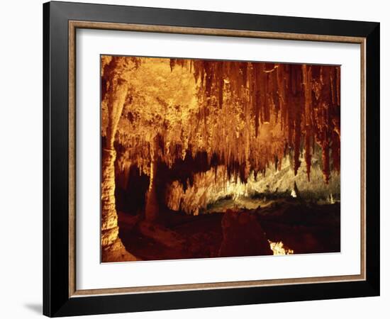 Carlsbad Caverns, Carlsbad Caverns National Park, UNESCO World Heritage Site, New Mexico, USA-Woolfitt Adam-Framed Photographic Print
