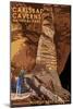 Carlsbad Caverns National Park, New Mexico - Rock of Ages-Lantern Press-Mounted Art Print