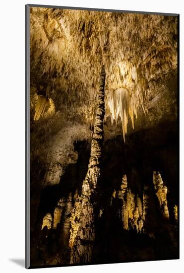 Carlsbad Caverns, The Big Room, Carlsbad, New Mexico, USA-Laura Grier-Mounted Photographic Print