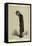 Carlyle-Carlo Pellegrini-Framed Stretched Canvas