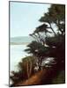 Carmel Bay-Miguel Dominguez-Mounted Giclee Print