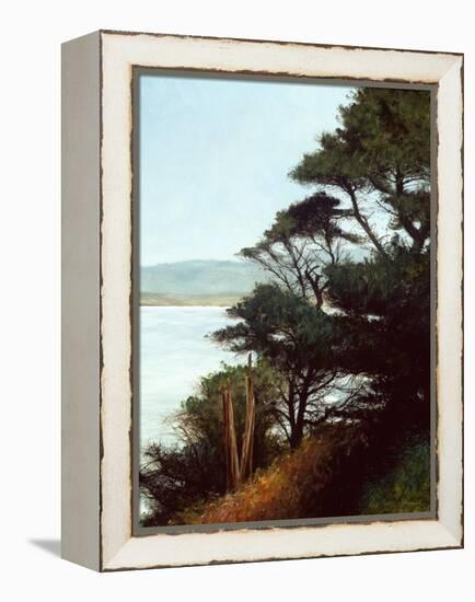 Carmel Bay-Miguel Dominguez-Framed Premier Image Canvas