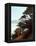 Carmel Bay-Miguel Dominguez-Framed Premier Image Canvas