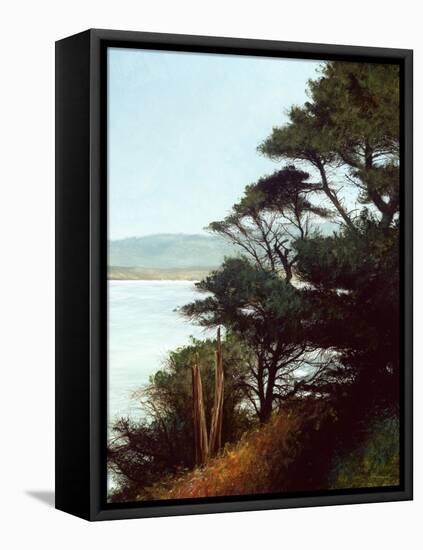 Carmel Bay-Miguel Dominguez-Framed Premier Image Canvas