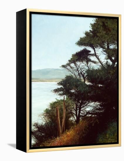 Carmel Bay-Miguel Dominguez-Framed Premier Image Canvas