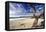 Carmel Beach, California-George Oze-Framed Premier Image Canvas