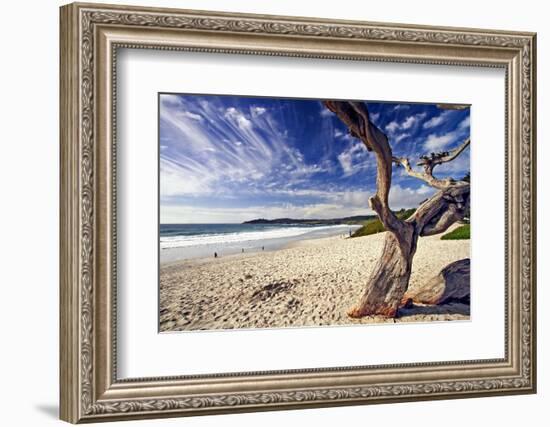 Carmel Beach, California-George Oze-Framed Photographic Print
