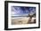 Carmel Beach, California-George Oze-Framed Photographic Print