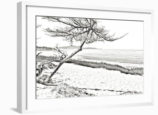 Carmel Beach III-Alan Hausenflock-Framed Photographic Print