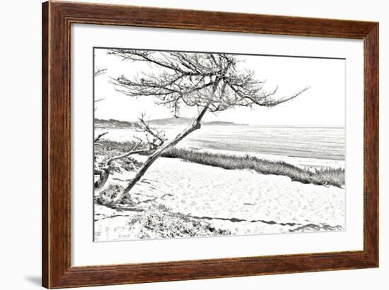 Carmel Beach III-Alan Hausenflock-Framed Photographic Print