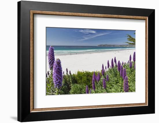 Carmel Beach Spring Vista, California-George Oze-Framed Photographic Print