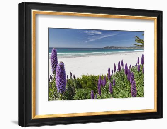 Carmel Beach Spring Vista, California-George Oze-Framed Photographic Print