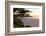 Carmel, California, cypress tree and waves at sunset on ocean, Pebble Beach-Bill Bachmann-Framed Photographic Print