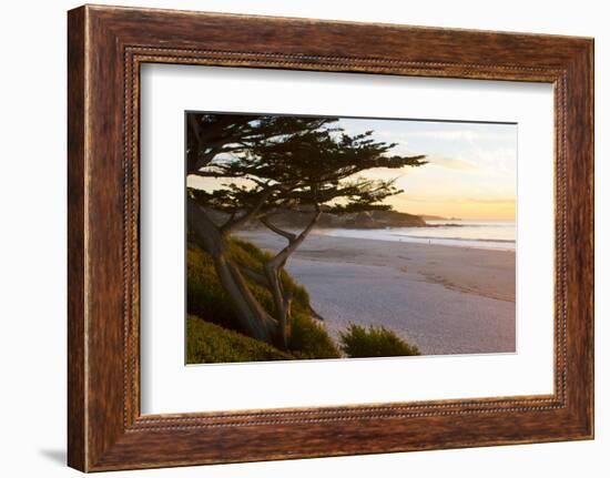 Carmel, California, cypress tree and waves at sunset on ocean, Pebble Beach-Bill Bachmann-Framed Photographic Print