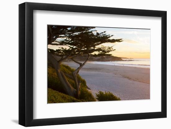 Carmel, California, cypress tree and waves at sunset on ocean, Pebble Beach-Bill Bachmann-Framed Photographic Print