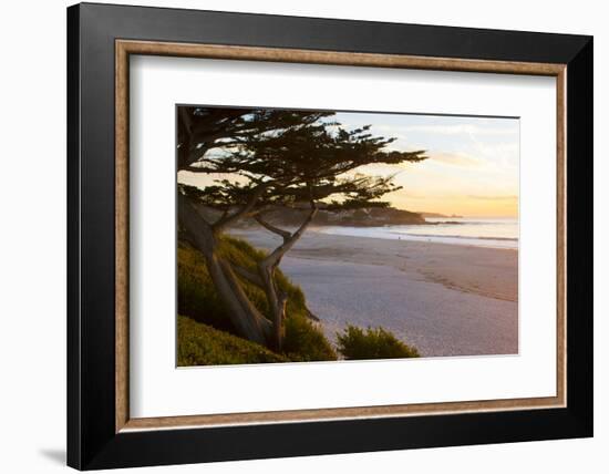 Carmel, California, cypress tree and waves at sunset on ocean, Pebble Beach-Bill Bachmann-Framed Photographic Print