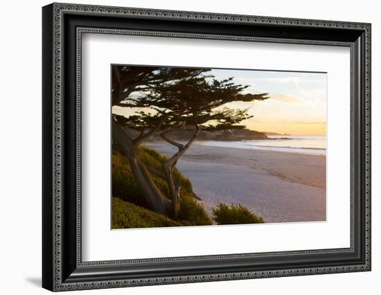 Carmel, California, cypress tree and waves at sunset on ocean, Pebble Beach-Bill Bachmann-Framed Photographic Print