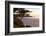 Carmel, California, cypress tree and waves at sunset on ocean, Pebble Beach-Bill Bachmann-Framed Photographic Print