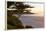 Carmel, California, cypress tree and waves at sunset on ocean, Pebble Beach-Bill Bachmann-Framed Premier Image Canvas