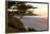 Carmel, California, cypress tree and waves at sunset on ocean, Pebble Beach-Bill Bachmann-Framed Premier Image Canvas