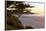 Carmel, California, cypress tree and waves at sunset on ocean, Pebble Beach-Bill Bachmann-Framed Premier Image Canvas