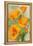 Carmel, California - State Flower - Poppy Flowers-Lantern Press-Framed Stretched Canvas
