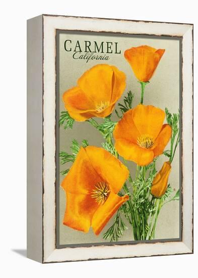 Carmel, California - State Flower - Poppy Flowers-Lantern Press-Framed Stretched Canvas