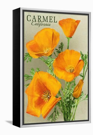 Carmel, California - State Flower - Poppy Flowers-Lantern Press-Framed Stretched Canvas
