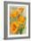 Carmel, California - State Flower - Poppy Flowers-Lantern Press-Framed Art Print