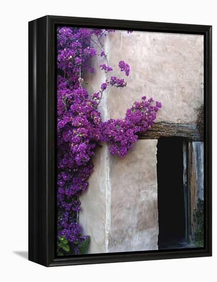 Carmel Mission, Carmel, California, USA-null-Framed Premier Image Canvas