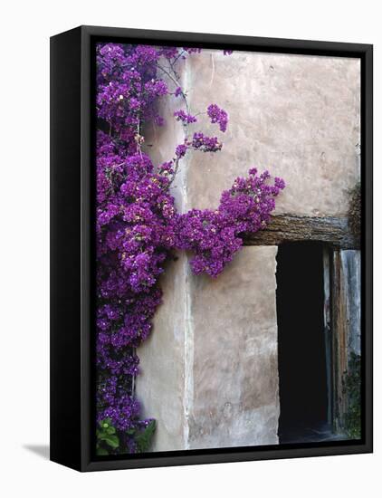 Carmel Mission, Carmel, California, USA-null-Framed Premier Image Canvas