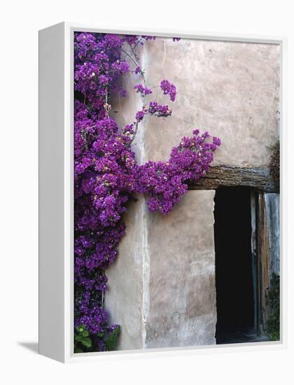 Carmel Mission, Carmel, California, USA-null-Framed Premier Image Canvas