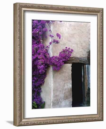 Carmel Mission, Carmel, California, USA-null-Framed Photographic Print