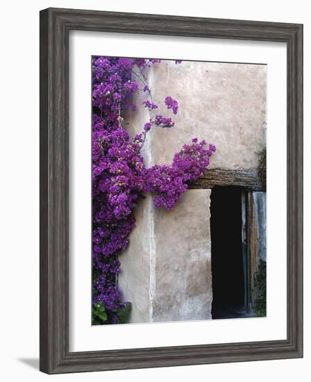 Carmel Mission, Carmel, California, USA-null-Framed Photographic Print