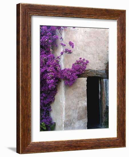 Carmel Mission, Carmel, California, USA-null-Framed Photographic Print